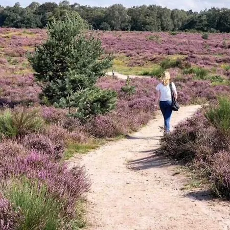 Bosrijk Austerpark 29 Apartman