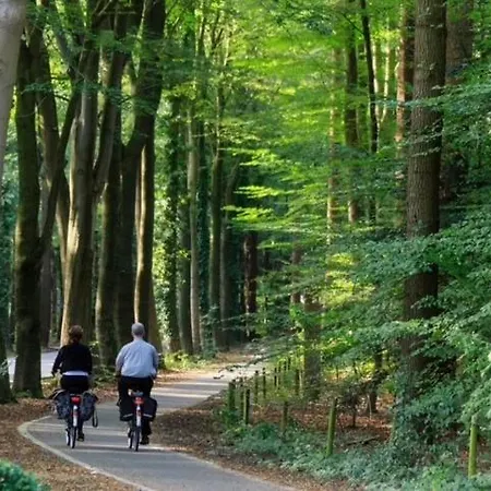 Apartman Bosrijk Austerpark 29 Putten