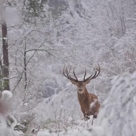 Bosrijk Austerpark 29 *