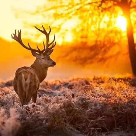 Bosrijk Austerpark 29 *