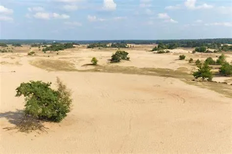 Bosrijk Austerpark 29