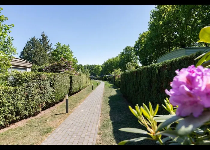 Bosrijk Austerpark 29 Putten