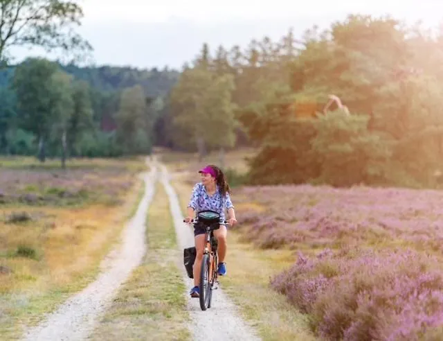 Bosrijk Austerpark 29