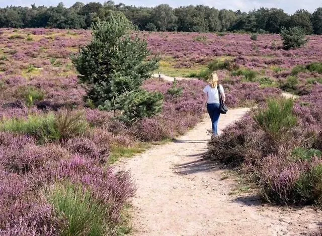 Bosrijk Austerpark 29 Lägenhet