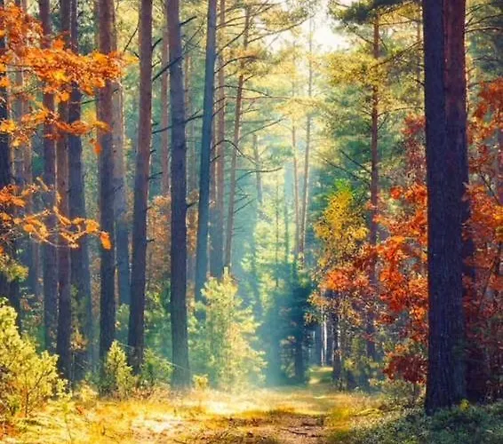 Bosrijk Austerpark 29 Lägenhet Putten