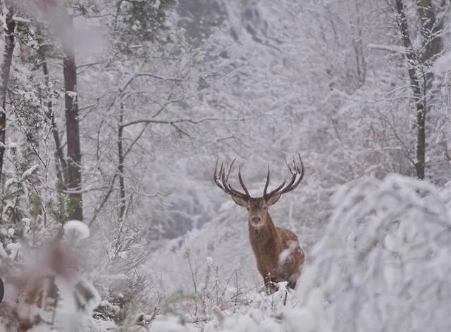 Bosrijk Austerpark 29 *