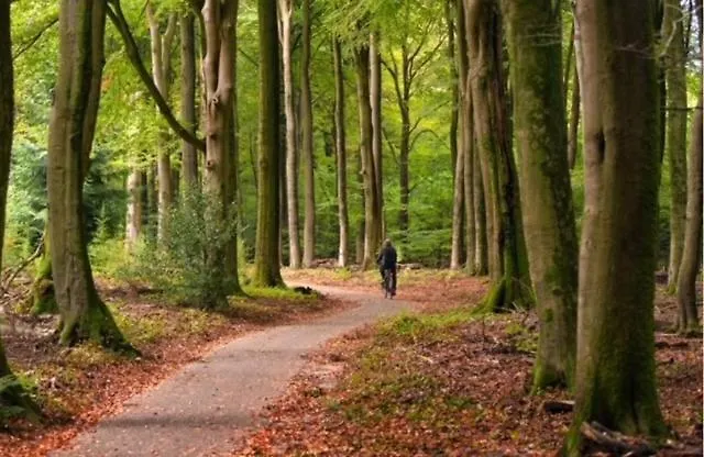 Bosrijk Austerpark 29 Apartmán *