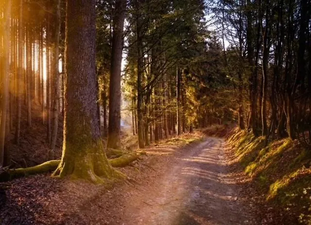 Bosrijk Austerpark 29