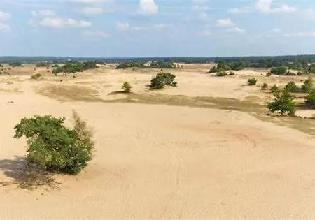 Bosrijk Austerpark 29