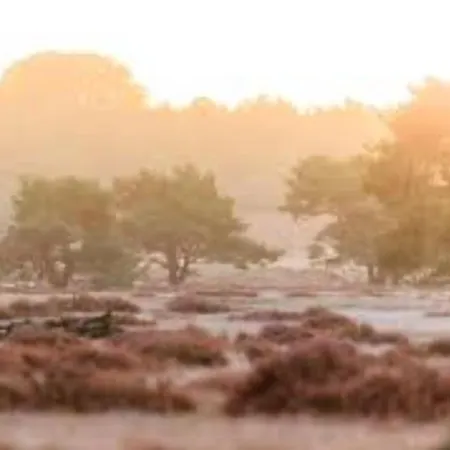 Bosrijk Austerpark 29 Appartamento