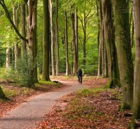 Bosrijk Austerpark 29 Appartamento *