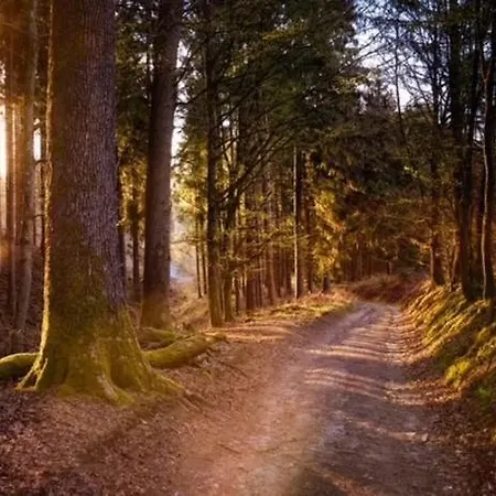 Bosrijk Austerpark 29