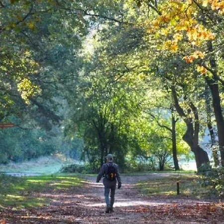 Bosrijk Austerpark 29 *