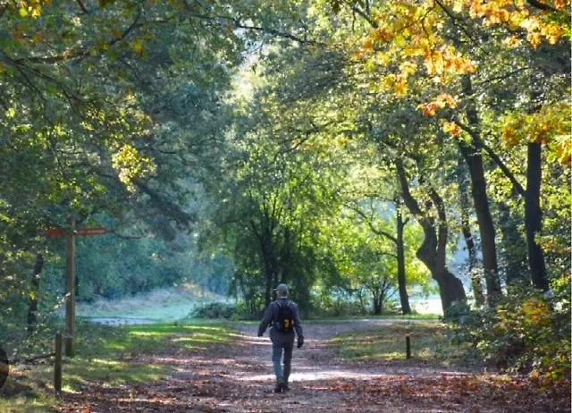 Bosrijk Austerpark 29 *